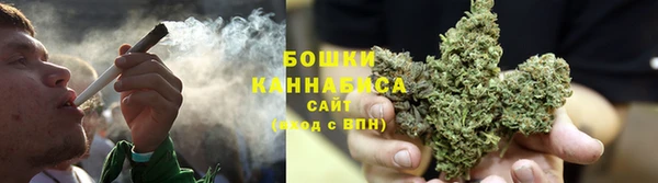 дживик Лагань