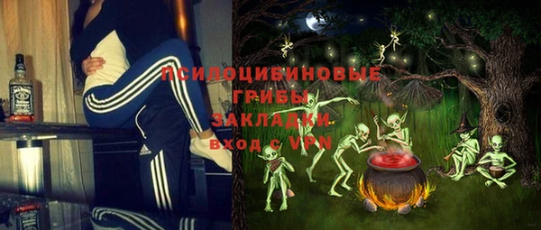 дживик Лагань