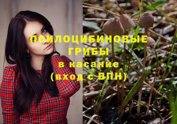 дживик Лагань