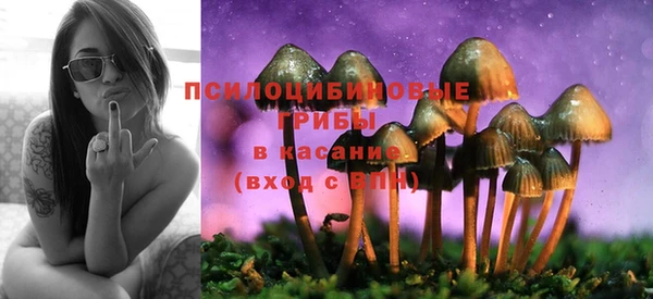 СК Лиски